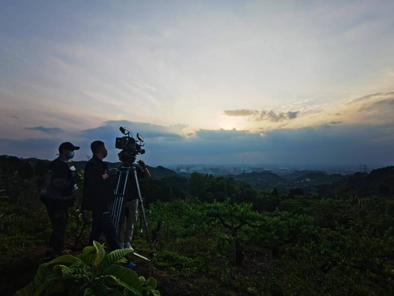 聚焦林州市产品宣传视频拍摄公司，用专业实力铸就品牌传播传奇